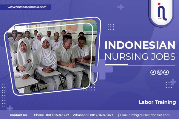 Labor Training Labor Training